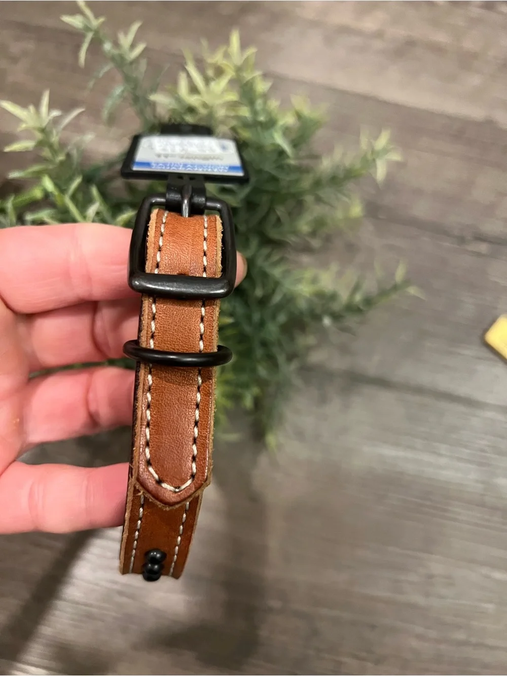 Outlaw Collection NWT Tan Leather Studded 5/8 11 Inch Dog Collar